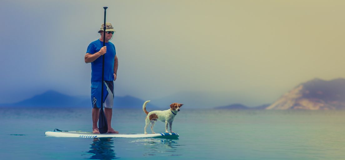 Ivóvíz szerepe a kutya egészségében - Mennyit kellene innia egy nap?