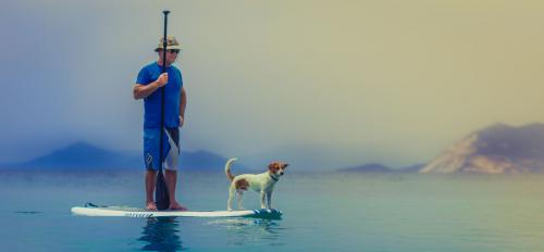 Ivóvíz szerepe a kutya egészségében - Mennyit kellene innia egy nap?