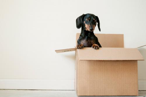 Útmutató a törékeny tárgyak biztonságos csomagolásához a költözéshez